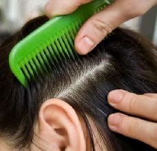 How to quickly remove lice and nits