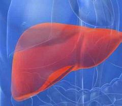 Chronická fotka hepatitidy